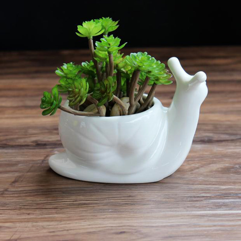 Turbo Snail Porcelain Pot